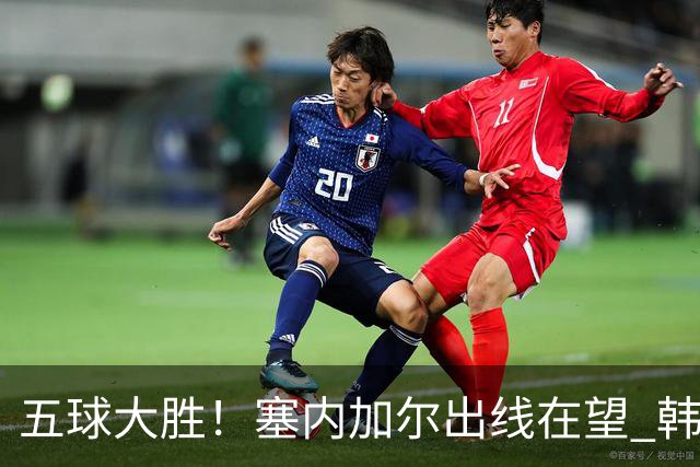 五球大胜！塞内加尔出线在望 韩国晋级仅剩理论希望